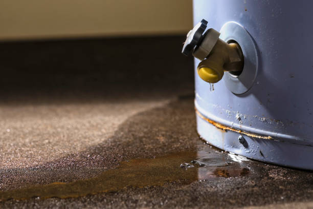 Best Commercial water damage restoration  in Crowley Lake, CA