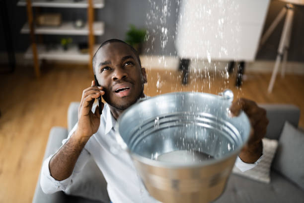 Best Residential water damage restoration  in Crowley Lake, CA