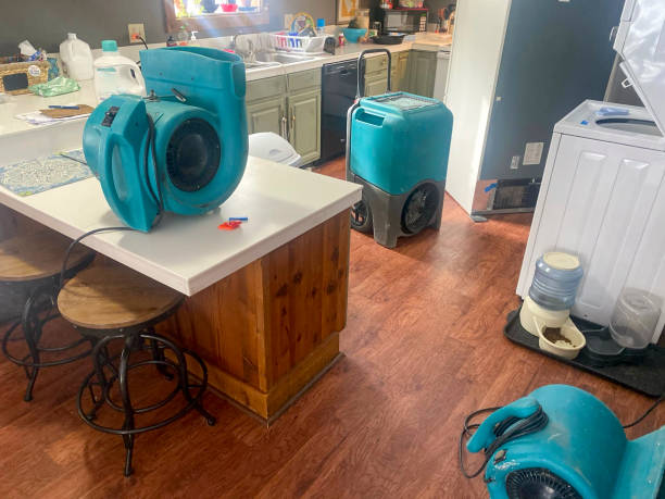 Best Fire Damage Restoration  in Crowley Lake, CA