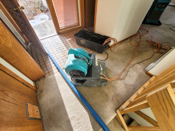 Best Water damage cleanup near me  in Crowley Lake, CA