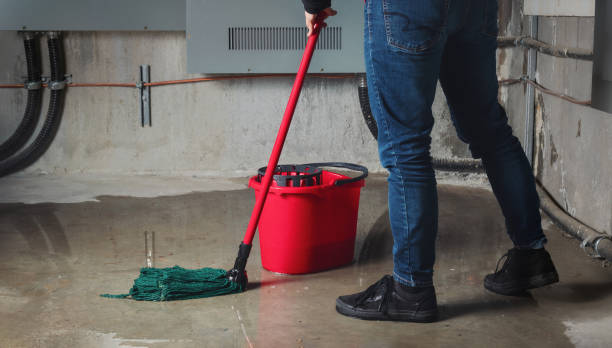 Best Professional water damage repair  in Crowley Lake, CA