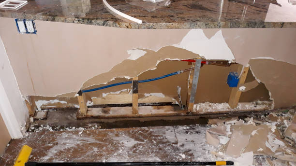 Best Water damage mitigation services  in Crowley Lake, CA