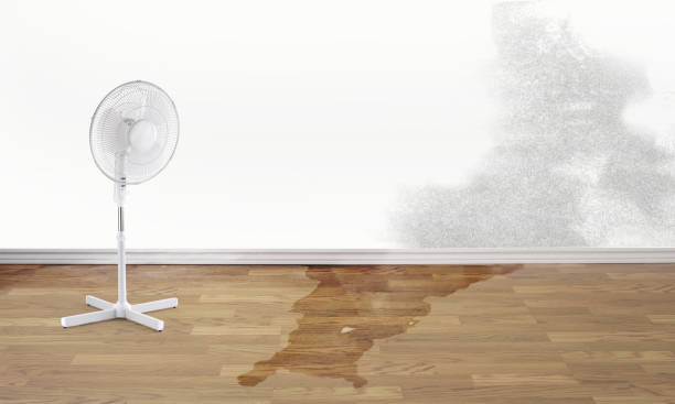 Best Water damage restoration insurance claims  in Crowley Lake, CA