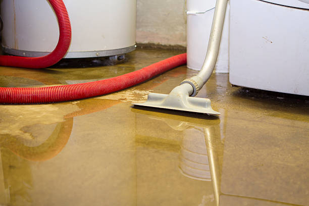 Best 24-hour water damage restoration  in Crowley Lake, CA