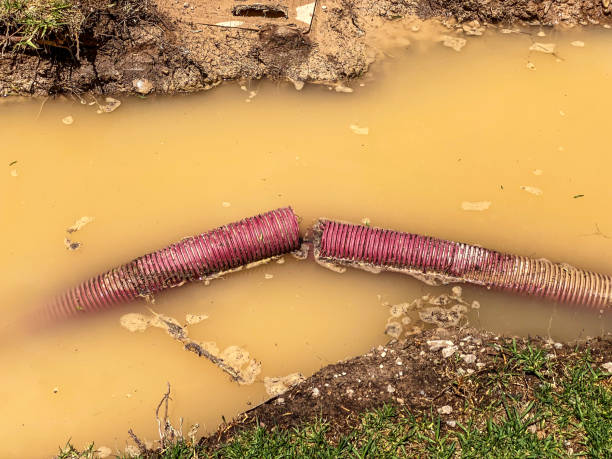 Best Sewage cleanup and water damage restoration  in Crowley Lake, CA