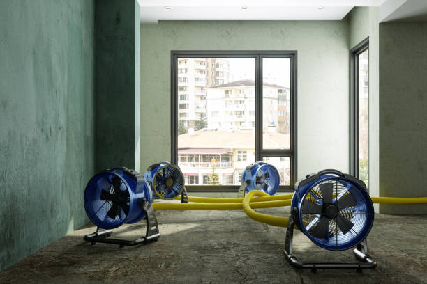 Best 24/7 water damage repair  in Crowley Lake, CA