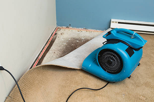 Best Water damage restoration near me  in Crowley Lake, CA